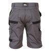 Himalayan H817 Grey Icon Shorts Rear